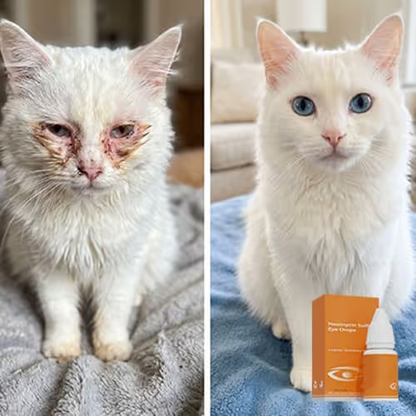 🐾 50% OFF Limited Time | Pet Eye Drops – Helps Relieve Redness, Irritation & Eye Discomfort