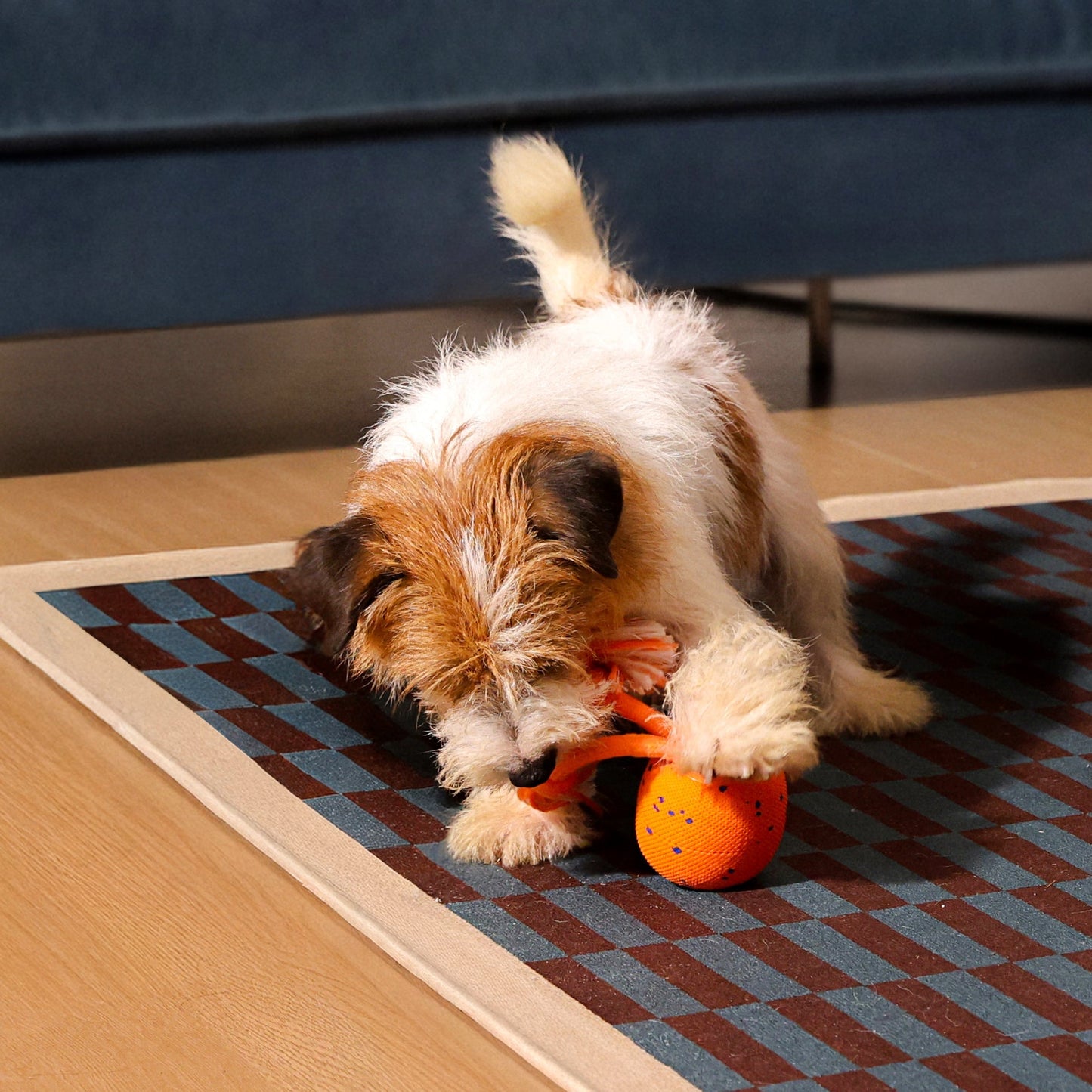 🔥2026 New Release - 50% OFF - RolloPaw™ Interactive Pet Toy Ball: Automatic Self-Moving Dog Toy for Boredom & Mental Stimulation 🐾 Quiet & Gentle on Teeth ✨