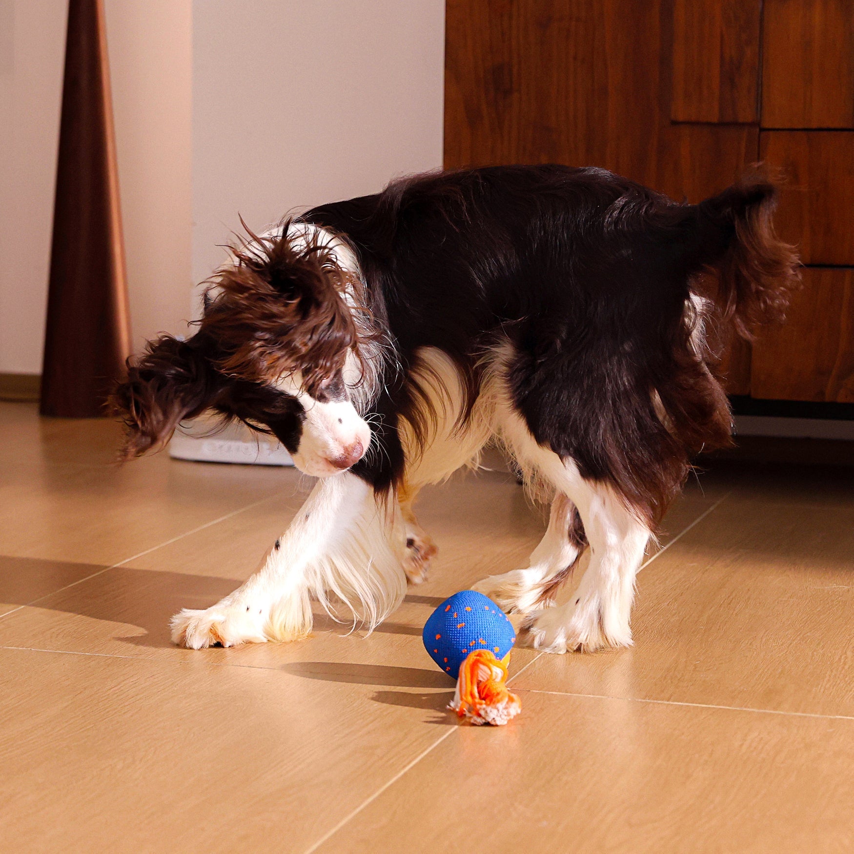 🔥2026 New Release - 50% OFF - RolloPaw™ Interactive Pet Toy Ball: Automatic Self-Moving Dog Toy for Boredom & Mental Stimulation 🐾 Quiet & Gentle on Teeth ✨